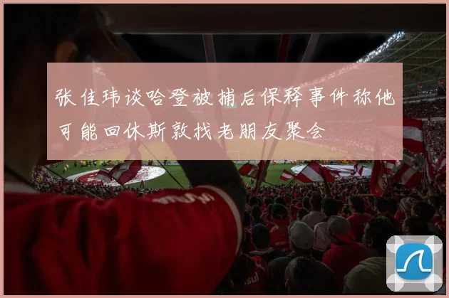 张佳玮谈哈登被捕后保释事件称他可能回休斯敦找老朋友聚会