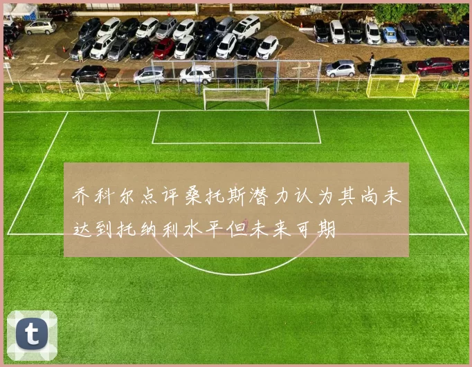 乔科尔点评桑托斯潜力认为其尚未达到托纳利水平但未来可期