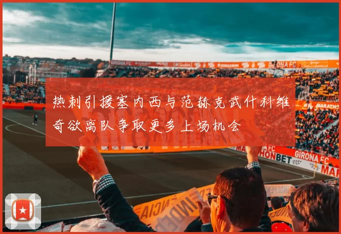 热刺引援塞内西与范赫克武什科维奇欲离队争取更多上场机会